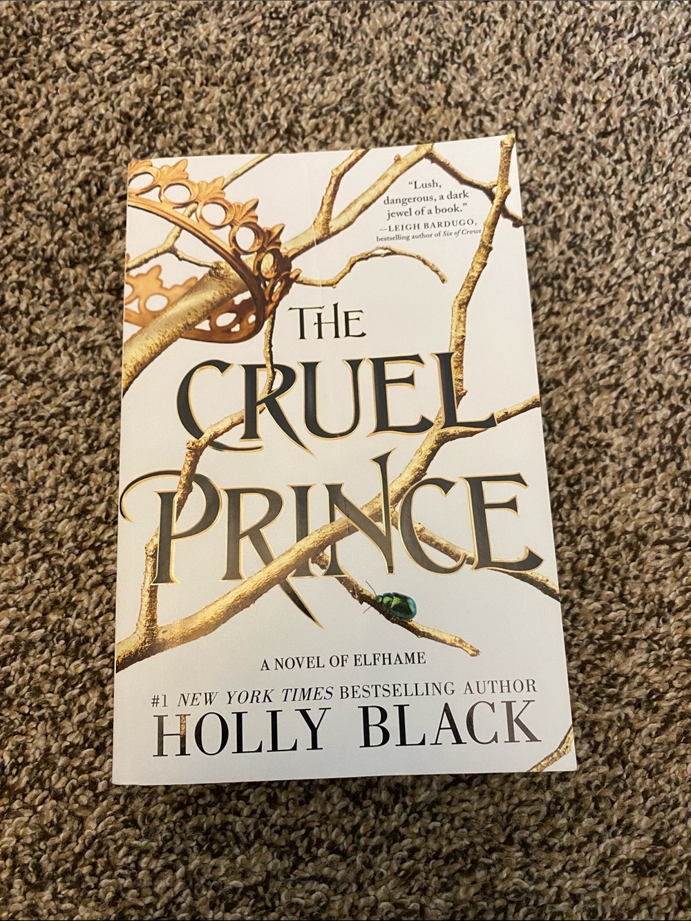 The Cruel Prince book